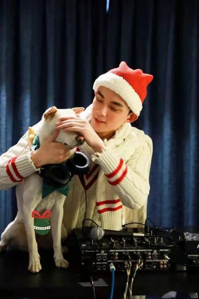 吴磊收养的流浪狗怎么样了?网友:有爱果然不一样!