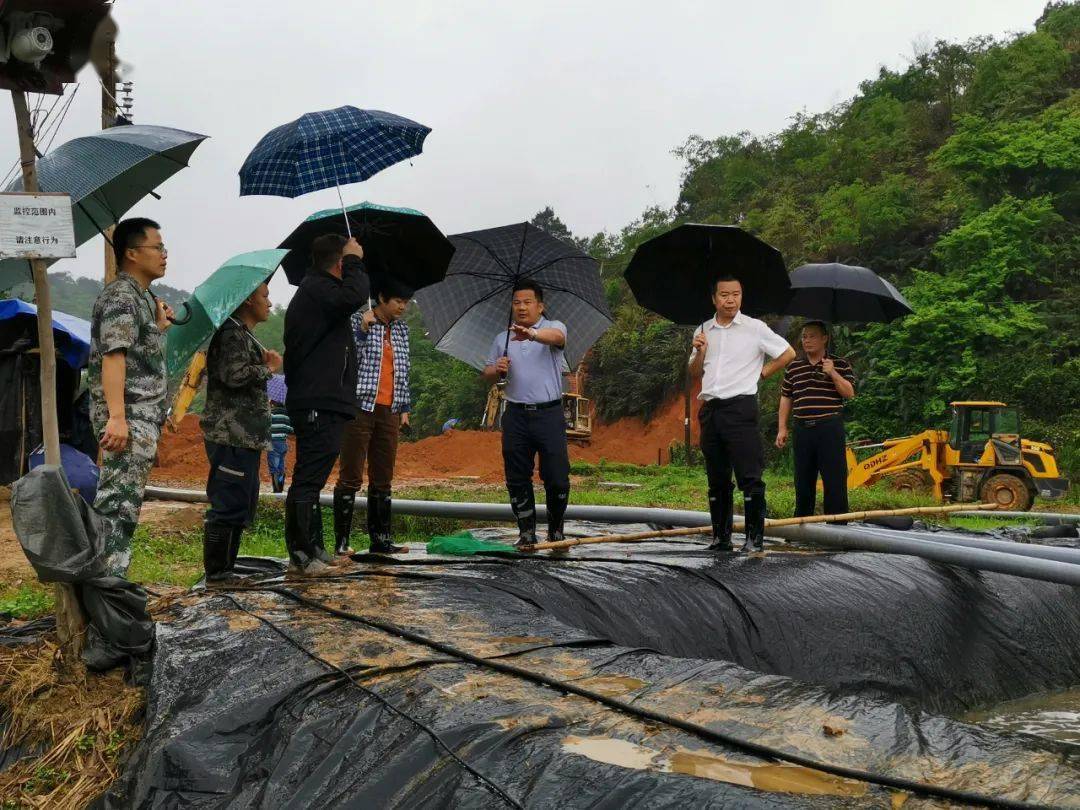 线索整改工作,兴业生态环境局局长杨国梁和县自然资源局局长杨坚陪同