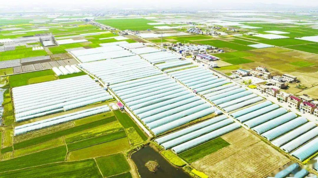 淮南市决战决胜脱贫攻坚战纪实电商扶贫篇