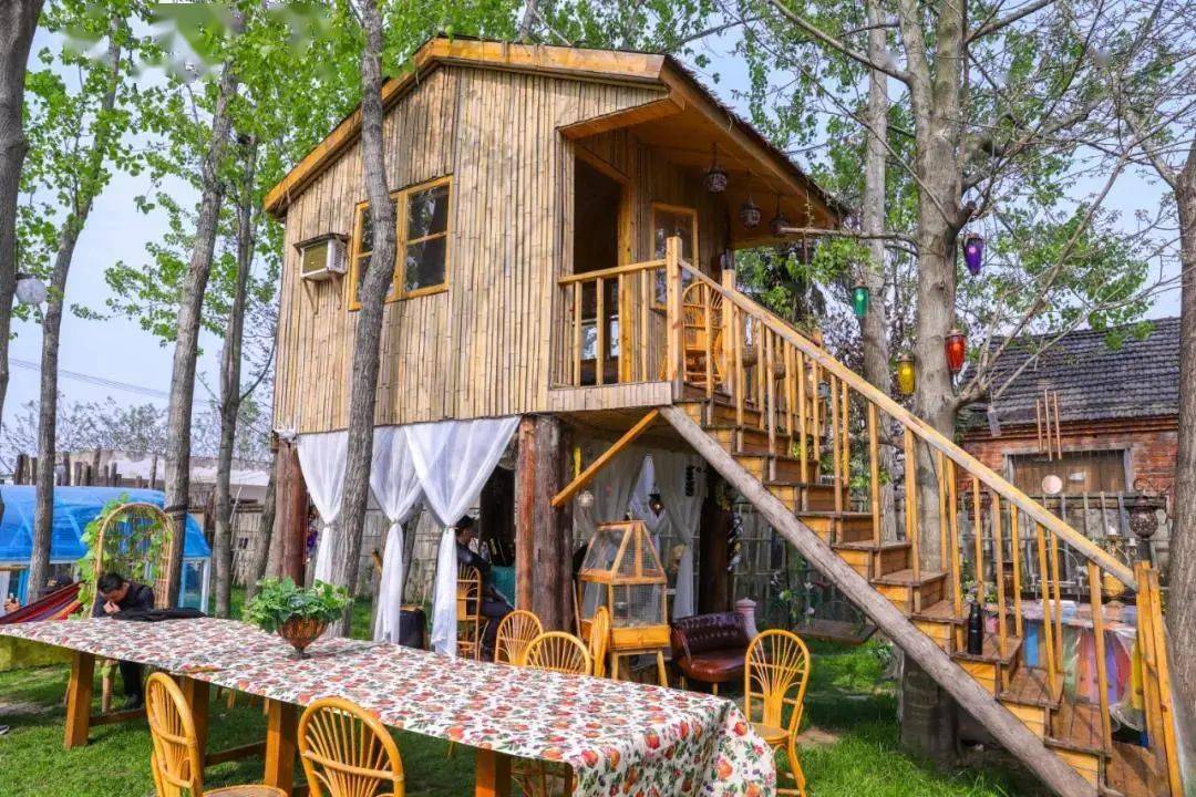 阜阳众多单身男女齐聚这个小院竟是为了