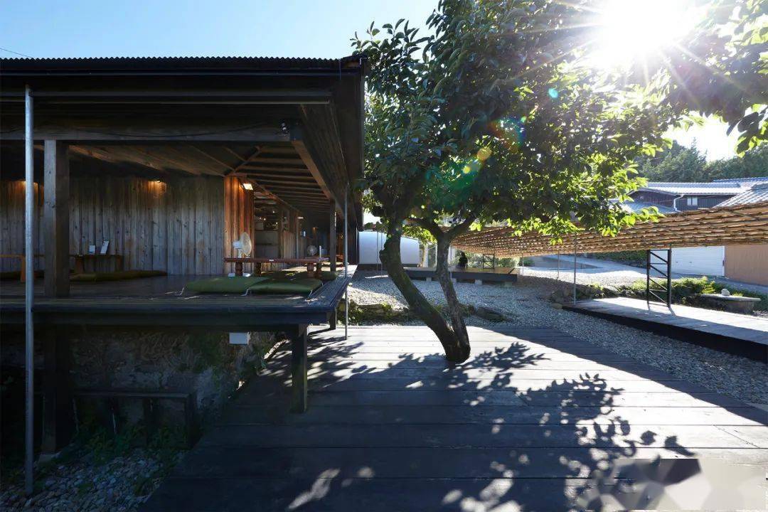 建筑 日本建筑届最高荣誉揭晓 中村拓