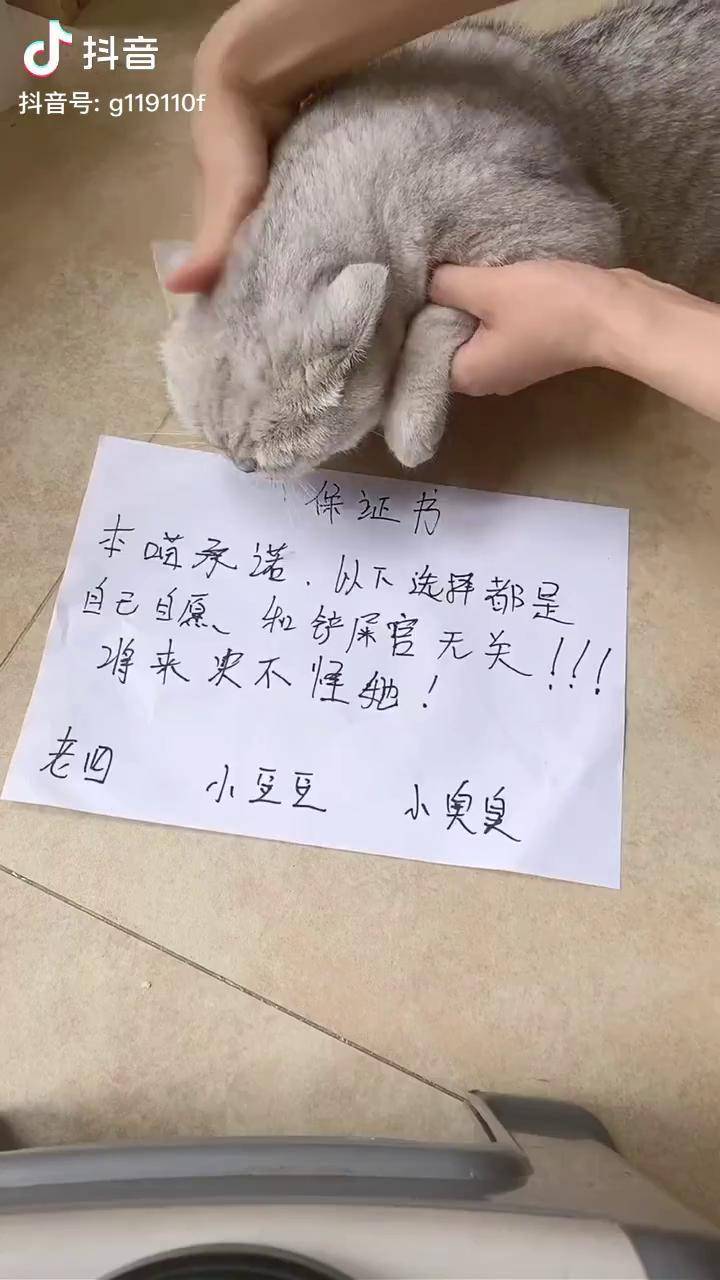 自己选的路再痛也要走完我就服老四保住了自己