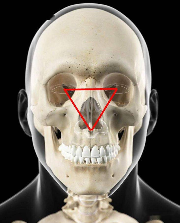 也就是眼眶骨和鼻子梨状孔形成的三角形的角度,这3个孔形成的角度可以