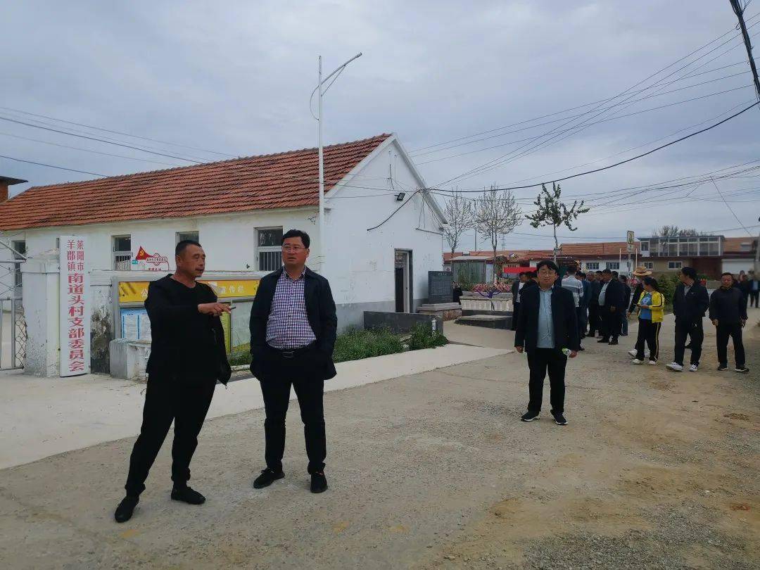 滨海新区魅力羊郡观摩打擂比学赶超人居环境整治让羊郡乡村颜值再提升