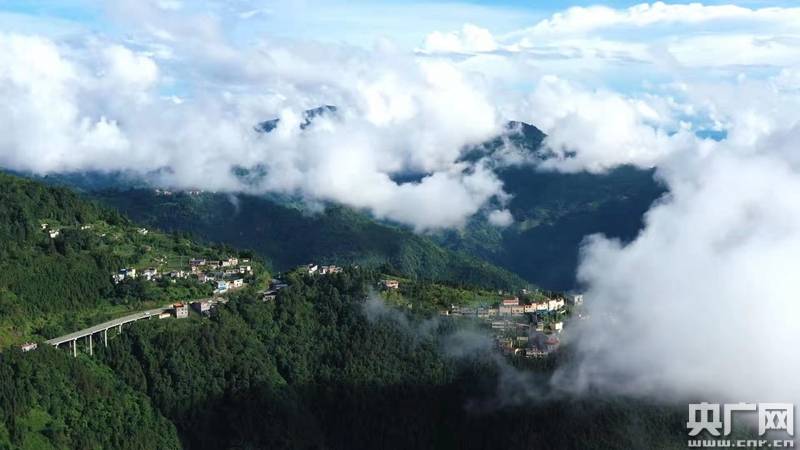 云南金平分水岭国家级自然保护区:共享共建保护中越边境线上的"绿宝石