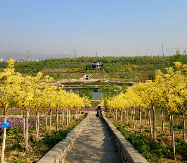 抓住春天的腳步,踏青賞花正當時!北京這些好地方現在不去可惜了!