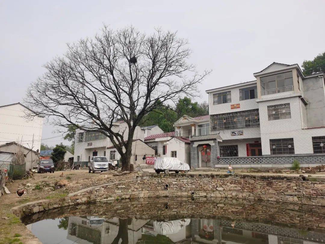 我党史上首位女庭长涉险抓叛徒就地枪决