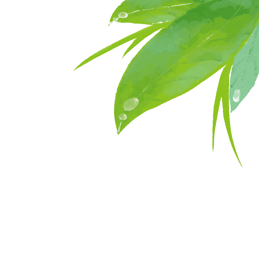 春风拂柳草青青,正是研学踏青时,为了让孩子们了解地域历史文化,感悟