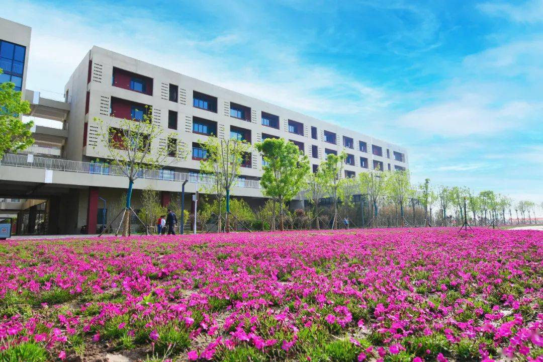 大美邯郸职教城与您屏分美景