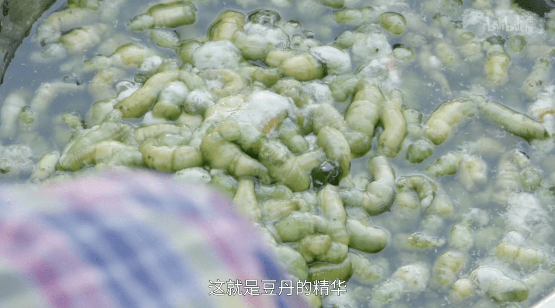 话题|看了想yue,越yue越想看的奇葩美食_牛屎