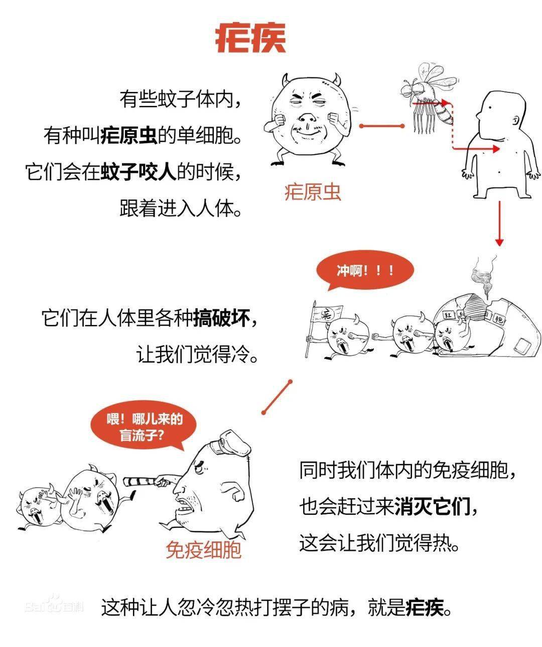 疟疾是经按蚊叮咬或输入带疟原虫者的血液而感染疟原虫所引起的虫媒