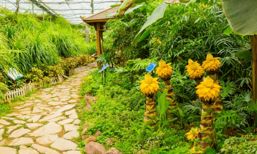 亳州这座花海边的植物科普园是你不能错过的打卡地