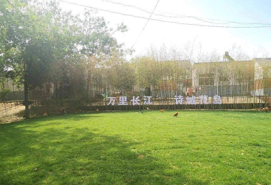 安徽当涂:聚力生态赋能 共筑美丽"花岛"_项目