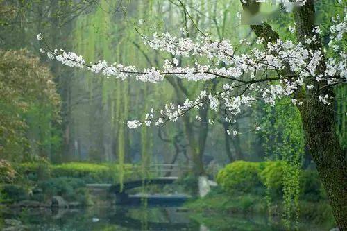 绵绵春雨节前还有几场雨