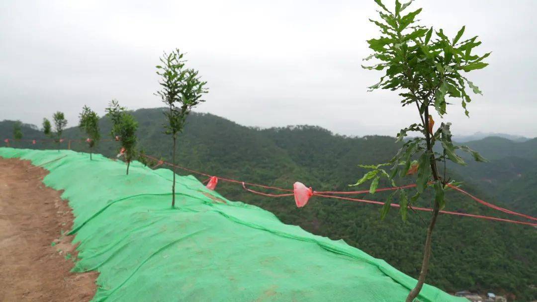 刘生成岑溪市祺鑫石业有限公司祺鑫矿矿长在扬尘抑制的方面,我们购置