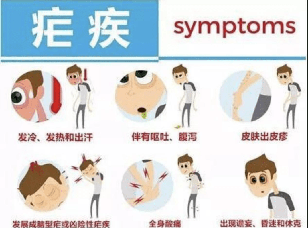 【全国疟疾日】拒绝受"疟",这些知识要知道!