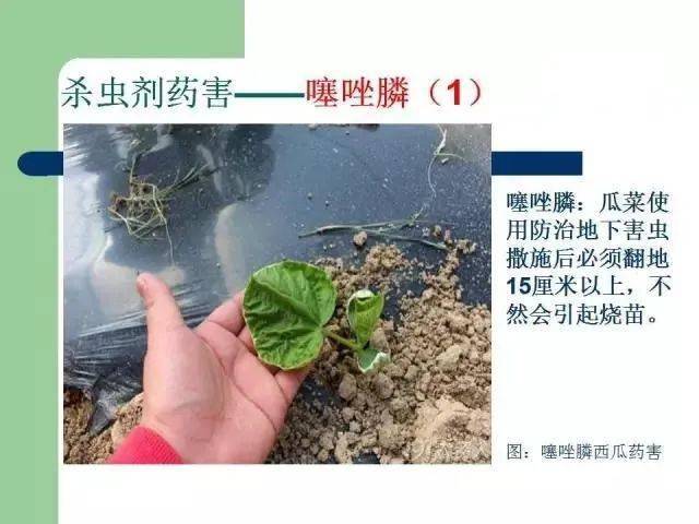 如何正确识别药物名称 cf96217726f34ea396525703205ac84a.jpeg