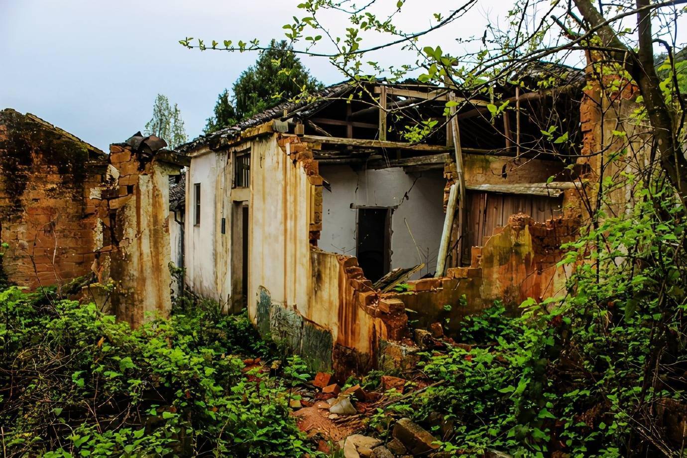 十来年无人居住,让整个村子里的房子杂草丛生,破败不堪,甚至不少房子