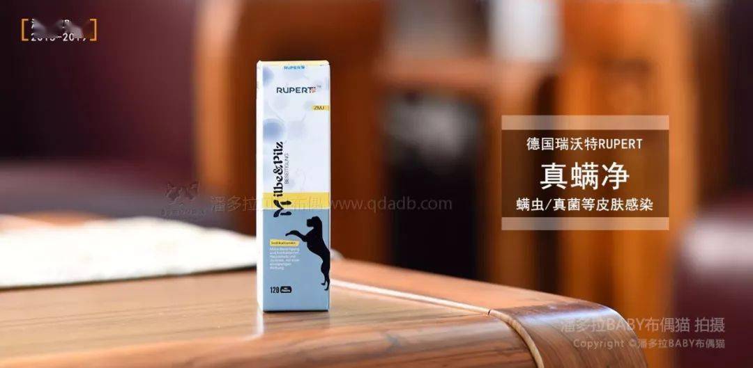 布偶猫百科如何给布偶猫进行体内体外驱虫