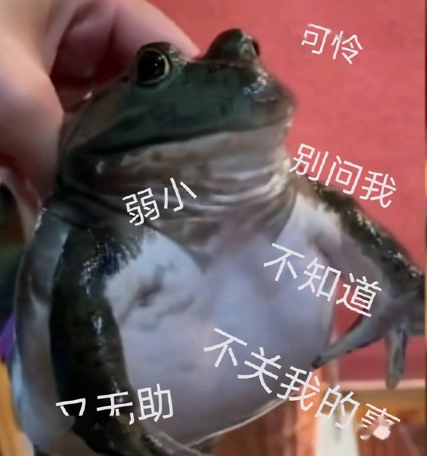 牛蛙太惨了,被吃之前还要遭这样的罪……老板还爆料,注水是"行规",都