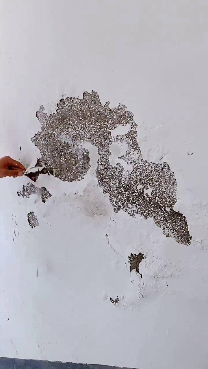 家里墙面破损脱落掉皮涂鸦起皮的都可以用这个补墙膏操作简单强迫症都