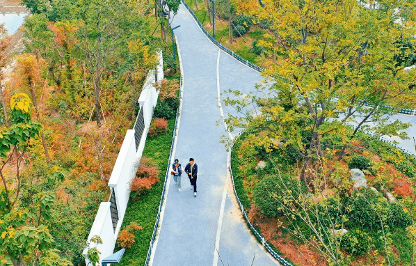 持續建設了九里湖國家溼地公園,泉山森林公園,臥牛山公園,珠山宕口