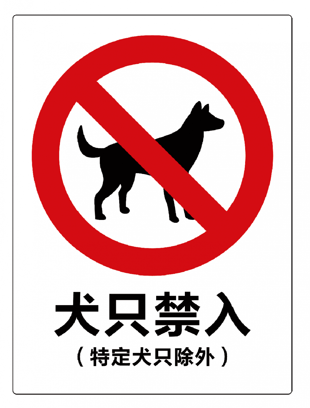 今后在城区餐饮,商场 宾馆,农贸市场等公共场所 将会张贴犬只禁入