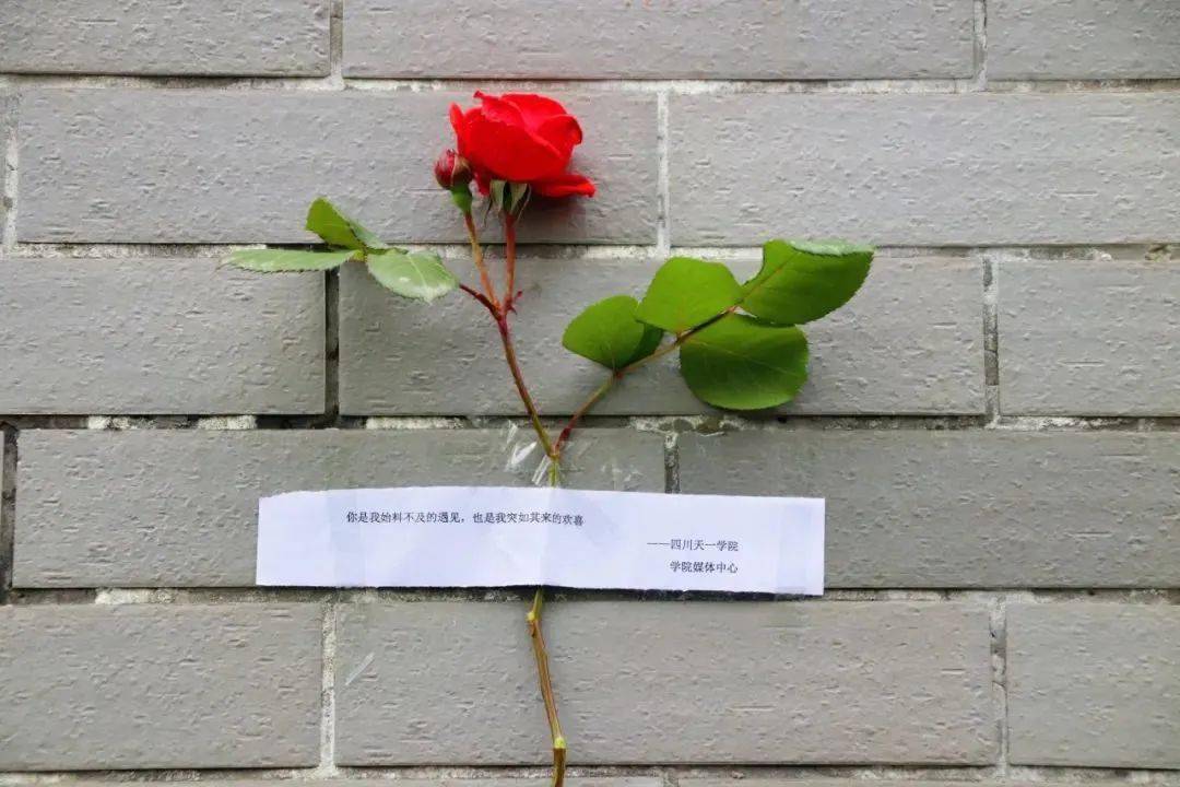 是心动啊应急玫瑰现身四川高校如遇爱情应急取用