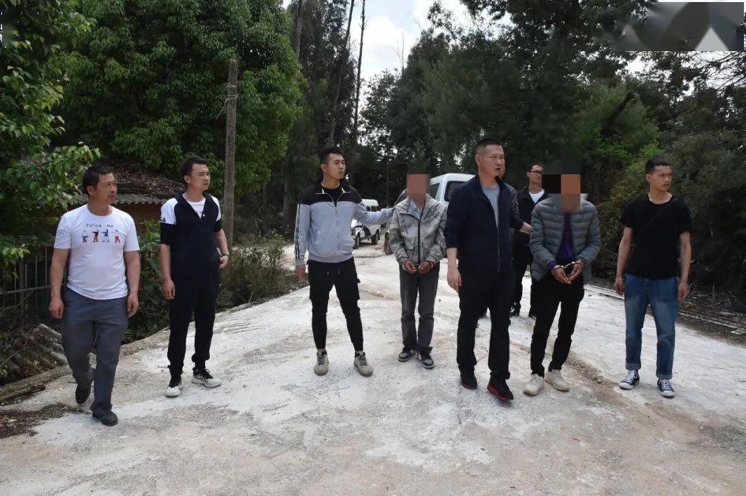 昆明一兽医起歹心,联合团伙盗窃生猪69头