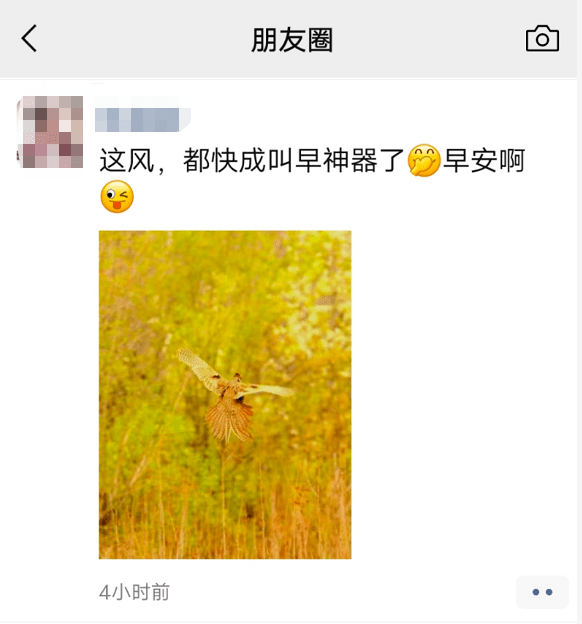 风不吹树不动处处不静曲谱_心不动则不痛的图片(3)