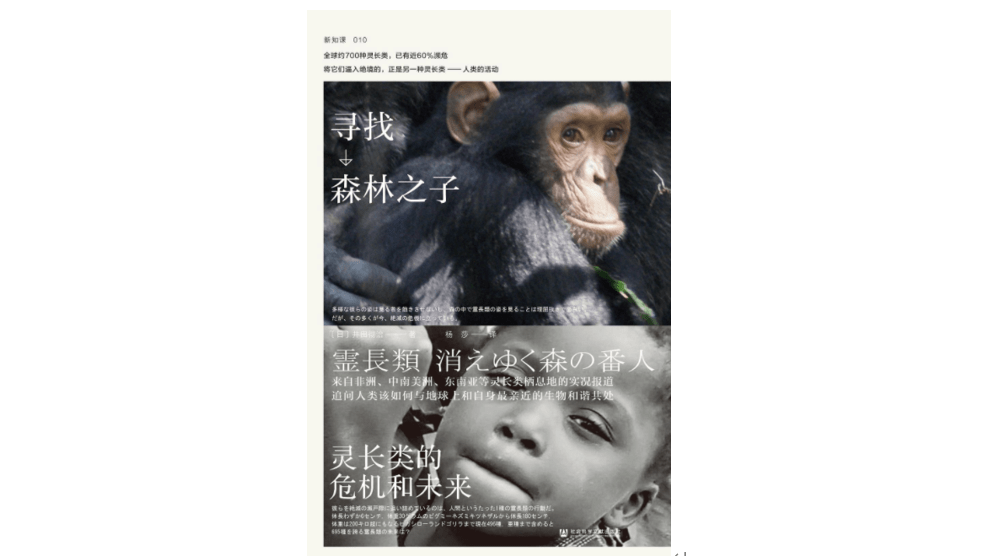 为什么说倭黑猩猩是森林中的和平主义者?