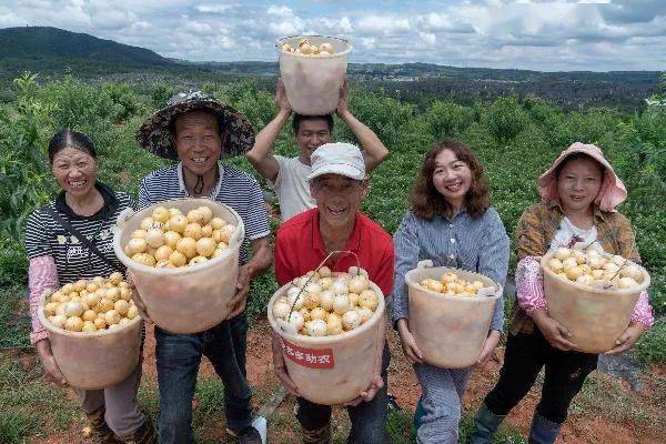 那些賣不掉的農產品，再也不會爛在地裡了 科技 第7張