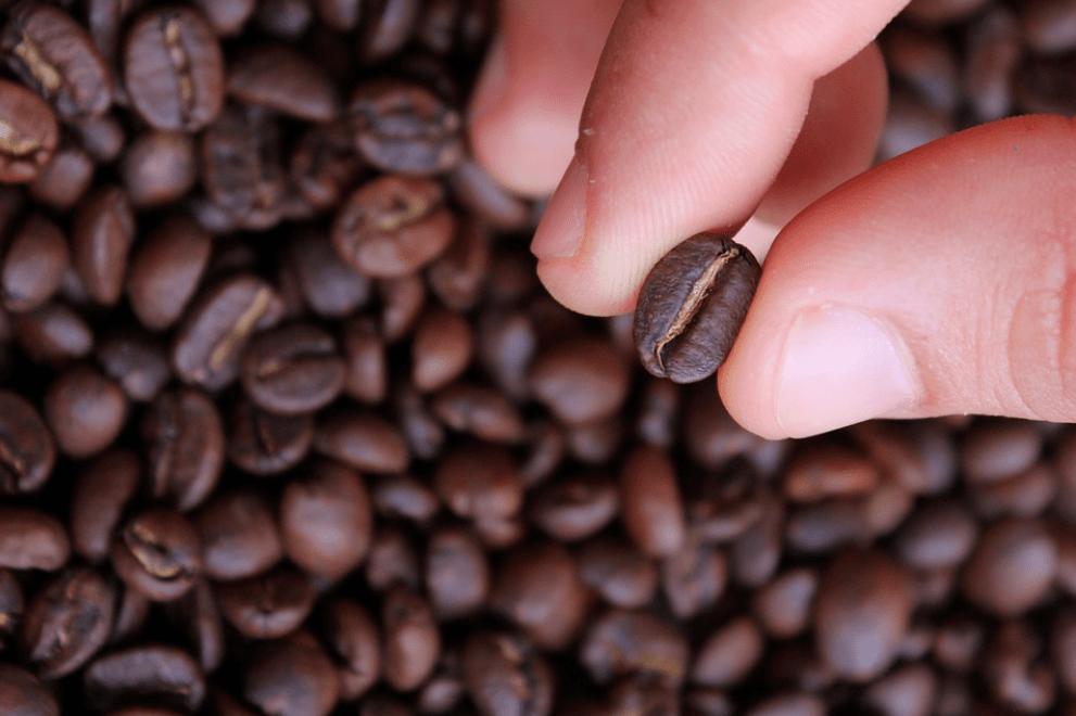 咖啡豆在烘焙过程中都经历了什么物理变化