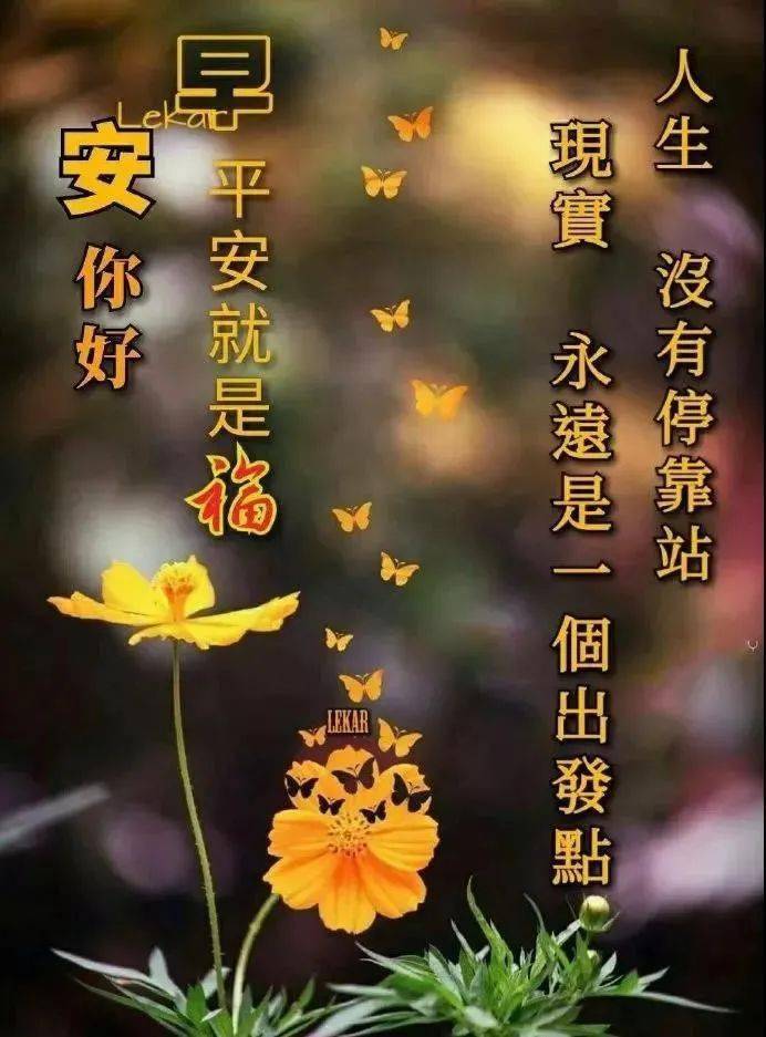 免打字聊天的早安問候祝福圖片美好的祝願送給你週四吉祥如意