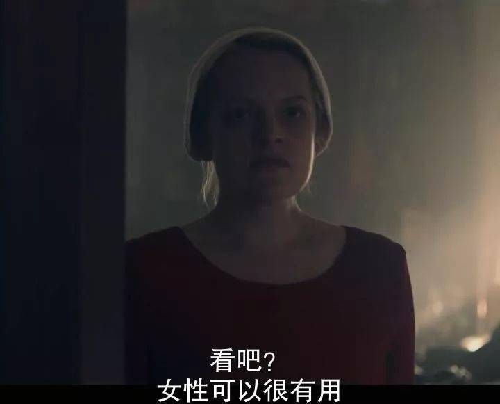 既恐怖又暴虐的C度剧,终于来了!
