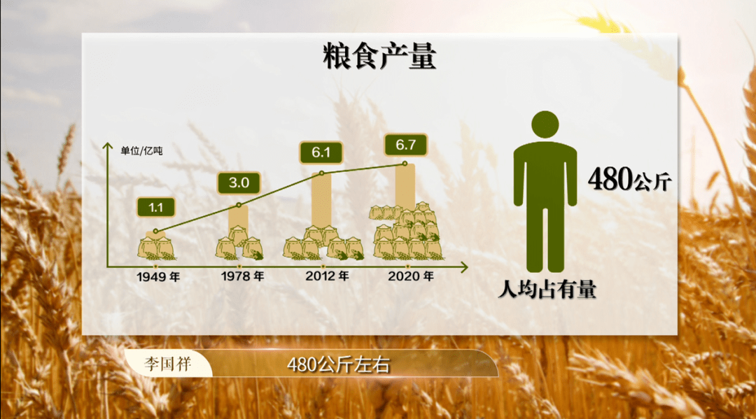 中国人均口粮_中国军用口粮(2)