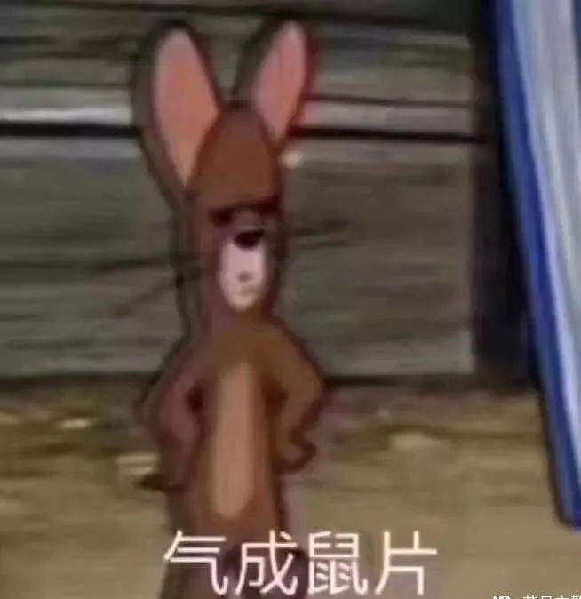 4557d0d2783a422686318a347fc3c979.jpeg