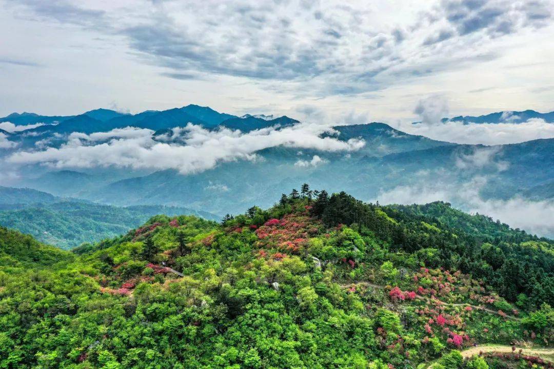 金寨吴家店三关五寨之映山红遍黄狮寨