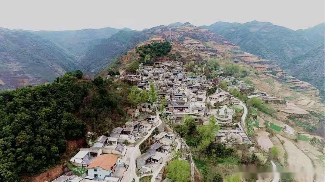 美丽陇原陇南武都梨花开