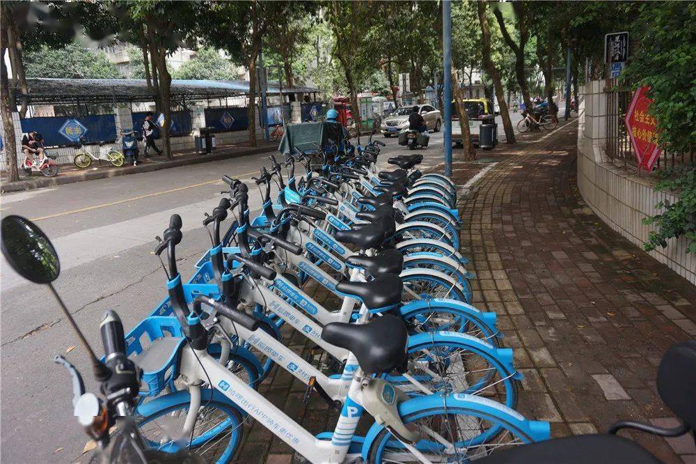 在南宁街头,共享单车整齐停放在划线区域.王媛 摄