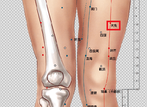 专家谈养生今日立夏阳盛于外养心先行