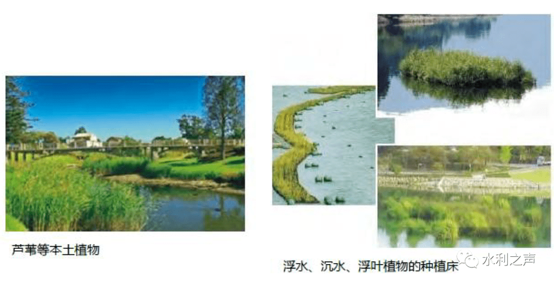 文章配图-4
