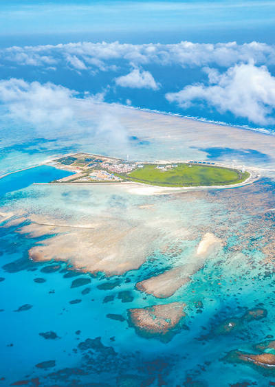 三沙岛上抗风桐