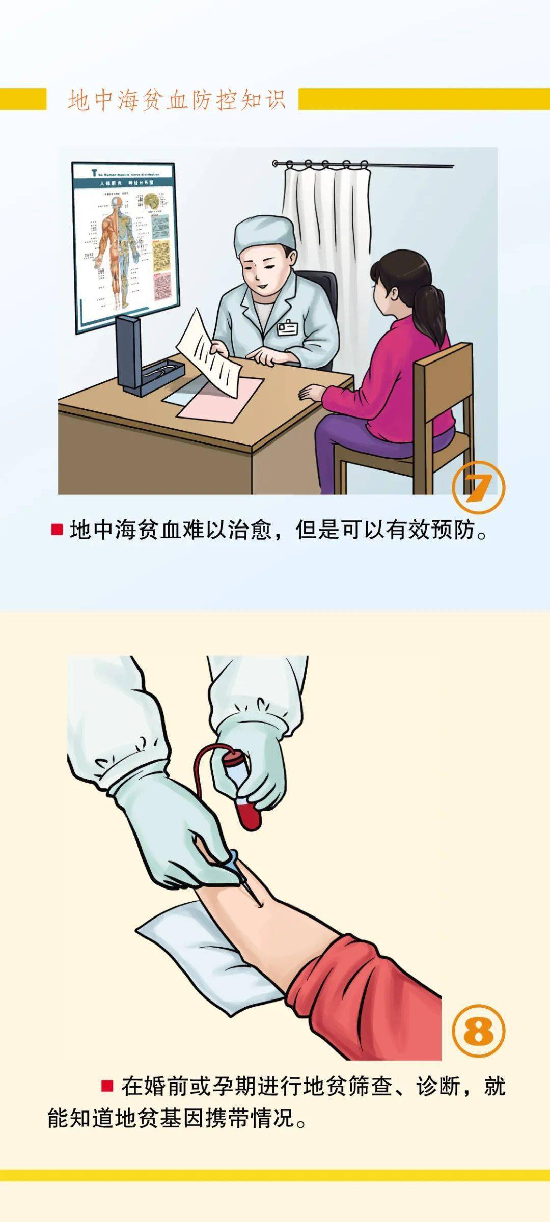 一图看懂地中海贫血防控知识