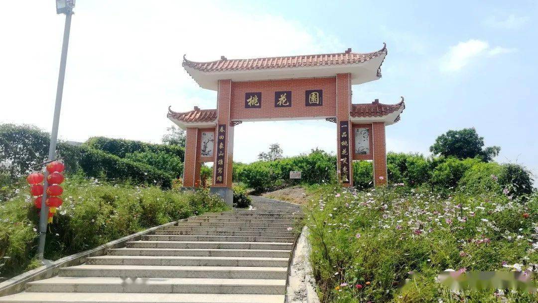 在上凌村桃花园近日美不胜收种植的山稔花盛开如桃双水镇上凌桃花园