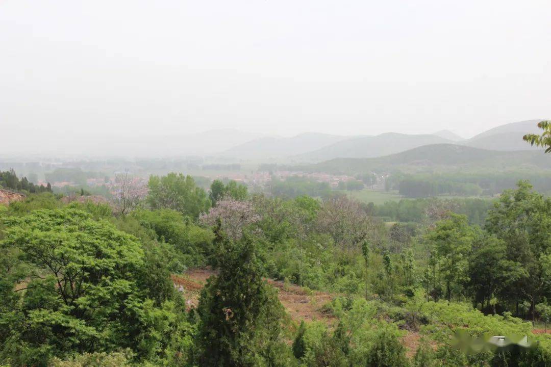 图+视频！带你一览烈山镇美景~