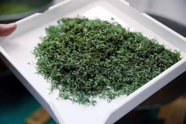 仲雍|一碗面，一杯茶，这座江南小城里的日子，舒坦似神仙