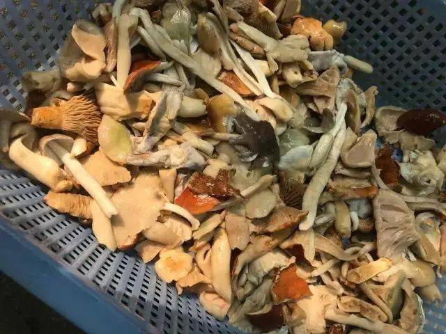 仲雍|一碗面，一杯茶，这座江南小城里的日子，舒坦似神仙
