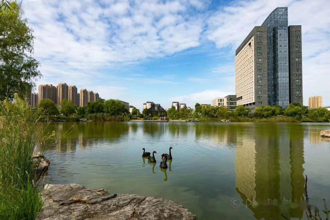 官宣徐州大学要来了