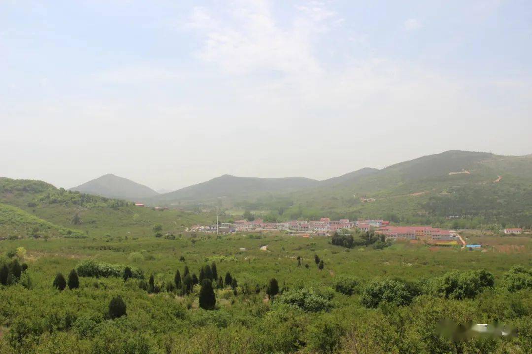 烈山个人空放 来自搜狐网